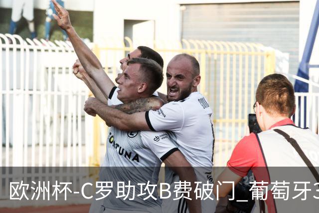 欧洲杯-C罗助攻B费破门 葡萄牙3-0土耳其